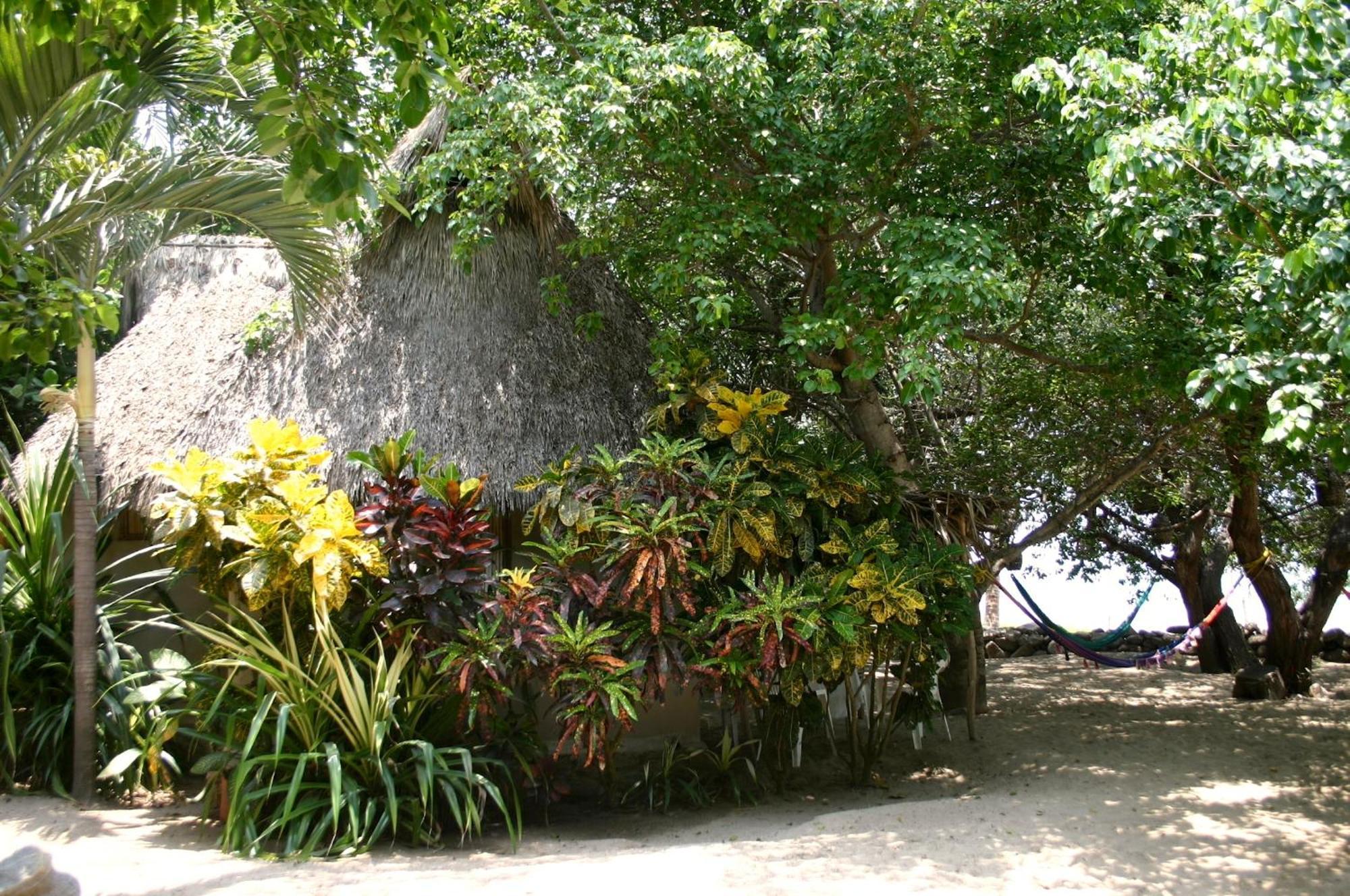 Junto Al Rio Bungalows & Suites Sayulita Exteriér fotografie