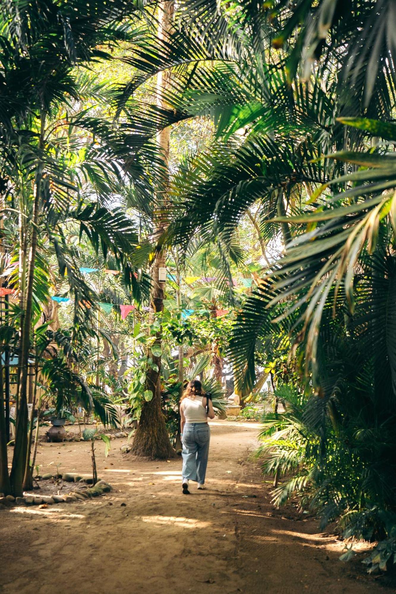 Junto Al Rio Bungalows & Suites Sayulita Exteriér fotografie
